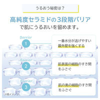 オルビス ディフェンセラ　3種アソート 1セット（1箱（30包）×３）　ORBIS　特定保健用食品　飲むスキンケア