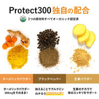 アビオス プロテクト300 1個(120粒)  ターメリック ウコン サプリメント