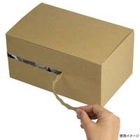 ヤマニパッケージ ジッパーBOX FSR L【weeco】 10-406FSR 1包(25枚)