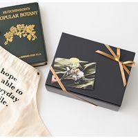 ヘッズ 無地スマートボックス/ダークグレー-5 MSD-GB5 1個(10枚)