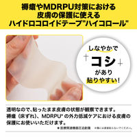 ニチバン ハイコロール 50mm×2m HCR502 1箱（1巻入）