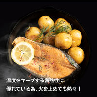 イシガキ 鉄鋳物 スキレット 15cm IH ガス火対応 4451 1個