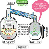 ひむかのくろうま 25度 1.8L パック　1セット（6本） 麦焼酎　神楽酒造