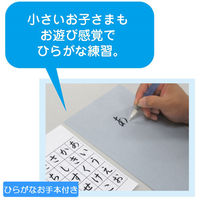あかしや 書道用品 水書 水書用紙 B5判・無地 AO-63SU 1個