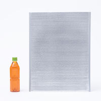 保冷平袋 LLサイズ (100枚:1袋（20枚入）×5) オリジナル