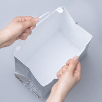 取っ手付き保冷袋 幅 210mm×高さ 260mm×マチ 130mm (100枚:1袋（10枚入）×10) オリジナル