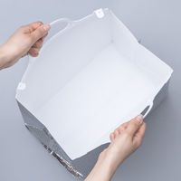 取っ手付き保冷袋 幅 300mm×高さ 270mm×マチ 180mm （50枚:1袋（10枚入）×5) オリジナル