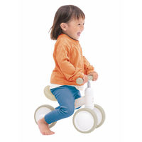 アイデス DーBike mini ワイド 24-0310-047 1箱（直送品）