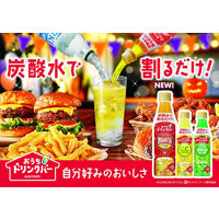 サントリー おうちドリンクバー C.C.レモン ＜希釈用＞340ml 1箱（24本入）