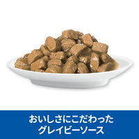 キャットフード サイエンスダイエット 猫 シニアトータルケア機能 7歳以上 サーモン パウチ 85g 2袋 日本ヒルズ