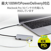 ドッキングステーション Type-C USBハブ  6-in-1 100W PD対応 DST-C12SV/EC エレコム 1個