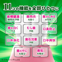 歯磨き粉 ディープクリーン プレミアム 薬用ハミガキ メディカルハーブの香味 85g 花王 歯槽膿漏を防ぐ