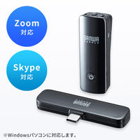 サンワサプライ ワイヤレスマイク(マイク1台) MM-MCW01 1個