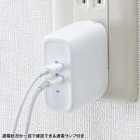 サンワサプライ USB PD対応AC充電器（PD20W×2ポート） ACA-PD97W 1個（直送品）