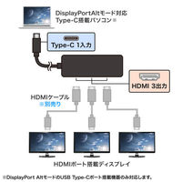サンワサプライ USB Type C-HDMI変換アダプタ(3ポート/4K対応) AD-ALCMST3HD2 1個（直送品）
