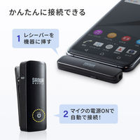 サンワサプライ ワイヤレスマイク(マイク2台) MM-MCW02 1個（直送品）