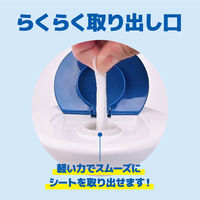 ウェットティッシュ除菌シートアルコール枚数たっぷり除菌できるアルコールタオルOUTDOOR チャムス本体1個（130枚入）大王製紙