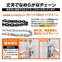 ベスト・アンサー 360度 軽量小型チェーンブロックJX 0.25t lh-jx025-2p 1セット(2台入)（直送品）
