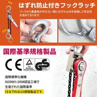 ベスト・アンサー レバーホイスト VW 0.1t lh-vw010-4p 1セット(4台入)（直送品）