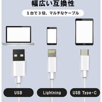 ベスト・アンサー カードリーダー SD micro-SD USBメモリー アプリ不要 life-126 1個（直送品）