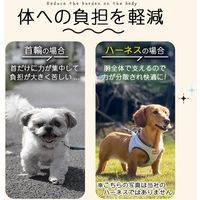 ベスト・アンサー ハーネス&リードセット 胴輪 首輪 小型犬 中型犬 ブラック pet-075-bk-m 1セット（直送品）