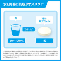 暑さ対策 塩分補給 塩分対策  匠の塩タブレット 3種アソート 1個