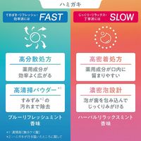 OCH-TUNE（オクチューン）歯磨き粉 SLOW ハーバルリラックスミント 高濃度フッ素配合 130g 1本 ライオン