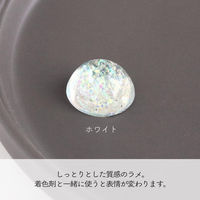 東京交易 オパールラメパウダー 6色セット 1個約0.15g T10-J 1セット(3パック)