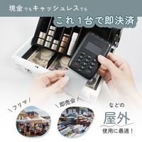 カール事務器 手提げ金庫 キャッシュボックス ホワイト CB-8850-W 1台