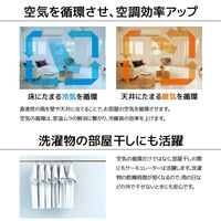 YAMAZEN 18cm サーキュレーター 首振り お手入れ簡単 全分解仕様 風量3段階 YAS-AFKW181(W) 1台