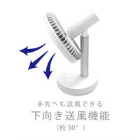 TOPLAND 12cm 卓上扇 自動首振り 風量3段階 3電源対応 SF-DFK18 WT 1台