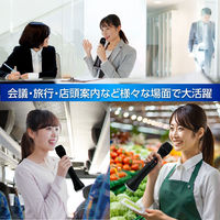 アーテック 大音量 拡声器付きマイク 52403 1台