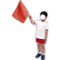 アーテック 小旗 赤 18184 1パック（10本組）