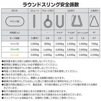 ベスト・アンサー エンドレス スリングベルト 1tタイプ 2本セット 01710-01-2p 1セット(2本入)（直送品）