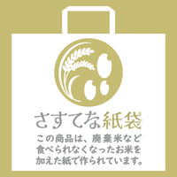 マツシロ さすてな紙袋 ペーパーバック 「こめ」A4ヨコ 10枚セット 62SUA4K 1包（直送品）