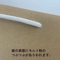 マツシロ さすてな紙袋 ペーパーバック 「びーる」A4ヨコ 10枚セット 62SUA4B 1包（直送品）