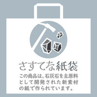 マツシロ さすてな紙袋 ペーパーバック 「せっかい」A4ヨコ 10枚セット 62SUA4L 1包（直送品）