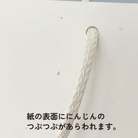 マツシロ さすてな紙袋 ペーパーバック 「にんじん」A4ヨコ 10枚セット 62SUA4N 1包（直送品）