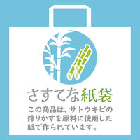 マツシロ さすてな紙袋 ペーパーバック 「さとうきび」A4ヨコ 10枚セット 62SUA4S 1包（直送品）
