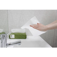 ペーパータオル 中判 バガス パルプ シングル レギュラー FR-6642 1袋（200枚入）ファーストレイト