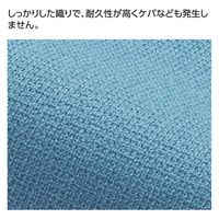 テラモト EFウィンドークリーナーマイクロダスター窓掃除用  CL7344000　1枚