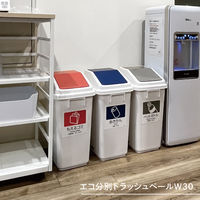 テラモト エコ分別トラッシュペールW30 本体 DS2451000 1台