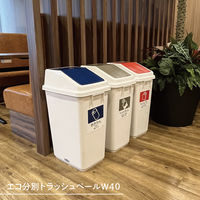 テラモト エコ分別トラッシュペールW40 本体 DS2454000 1台