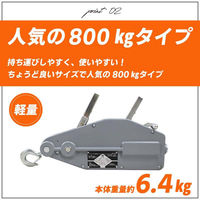 ベスト・アンサー ハンドウインチ 800kg 10m グレー diy-035-gr 1台（直送品）
