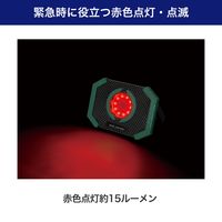 朝日電器 小型ポータブルライト DOP-PL05 1個