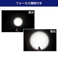 朝日電器 大光量アルミライト1000LM DOP-EP1000 1個