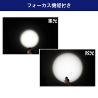 朝日電器 大光量アルミライト1500LM DOP-EP1100 1個