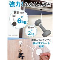 ジット マグッピ 強力マグネットフック シルバー MGF-S4 1パック（4個入）