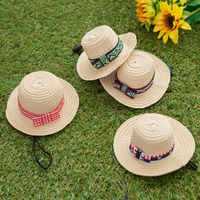 ソルグラ ギンガム麦わら帽子 Sサイズ レッド 1個 犬用 アルクロース