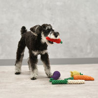 長ねぎロープトイ 1個 犬用 おもちゃ アルクロース